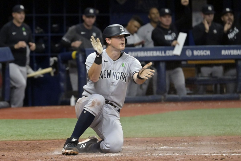 New York Yankees release two-time batting champion DJ LeMahieu