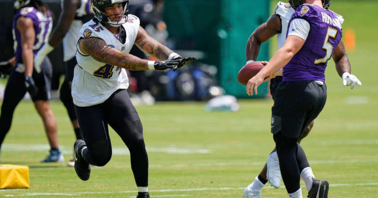 Baltimore Ravens LB Mike Green hopes to fill a key role as a rookie