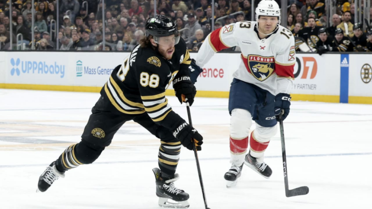 NHL Top Players: Top 20 wings