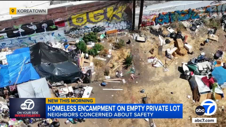 Koreatown residents outraged over sprawling homeless encampment with makeshift sports court, BBQ pit