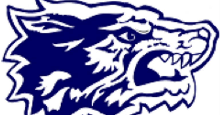 Oswego East, Sandwich boys golf earn dual wins: Tuesday’s Record Newspapers sports roundup