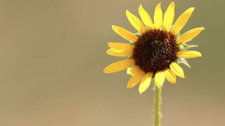 Ex-PGA Tour Executive Passes Away at Age 78