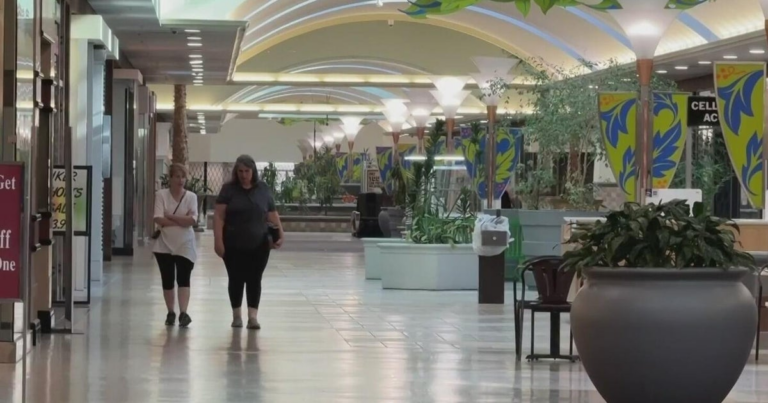 Citrus Heights mayor highlights Sunrise Mall redevelopment plan in State of the City address