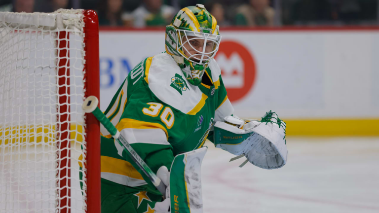 Wallstedt makes 35 saves, Wild shut out Flames