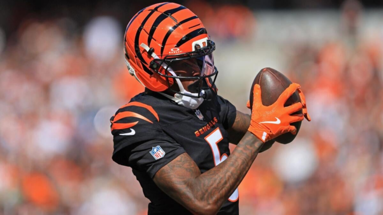 2025 NFL playoff picture: Bengals need this scenario to happen to make postseason