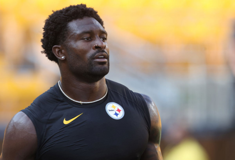 Lions Fan Punched by DK Metcalf Reveals Details Behind Violent Incident With Steelers WR
