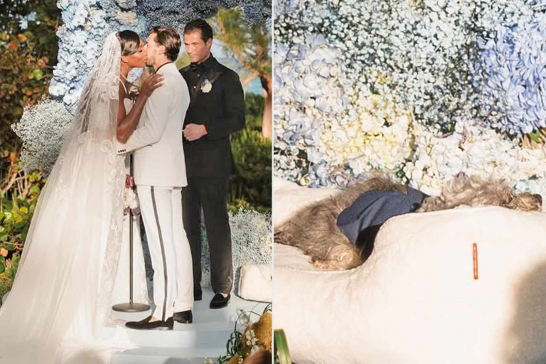Venus Williams Reveals Touching Way She Included Her Senior Dog in Her Wedding
