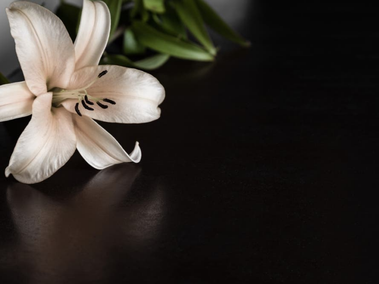 Former Riverside City College Tennis Player Killed In Traffic Crash