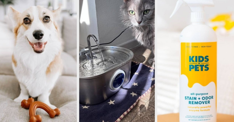 27 Award-Worthy Pet Products From Chewy