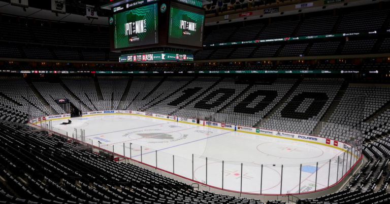 Minnesota hockey reporter, 3 children killed in house fire, NHL says