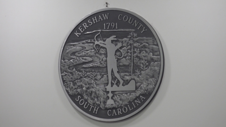 Kershaw County to review panhandling ban, zoning ordinances