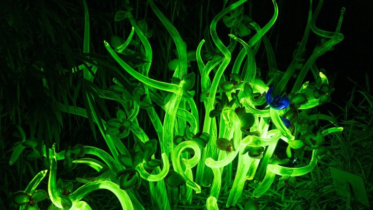 Why Scientists Gave These Plants Firefly DNA, and What It Could Mean for the Future