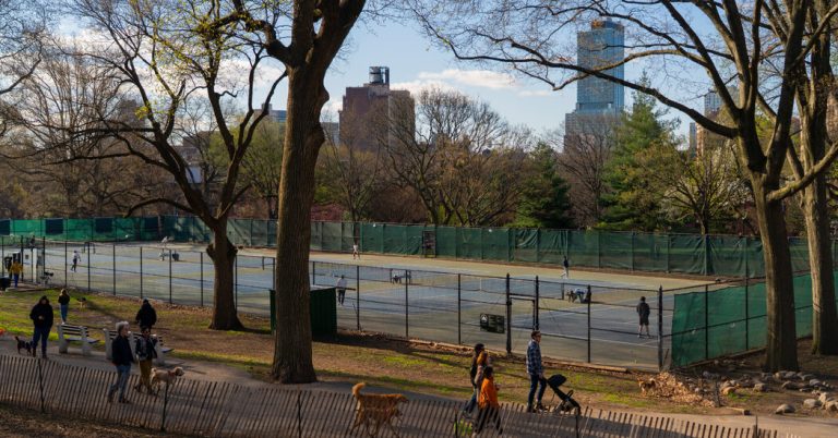 Tennis vs. Pickleball: What’s a Better Workout?
