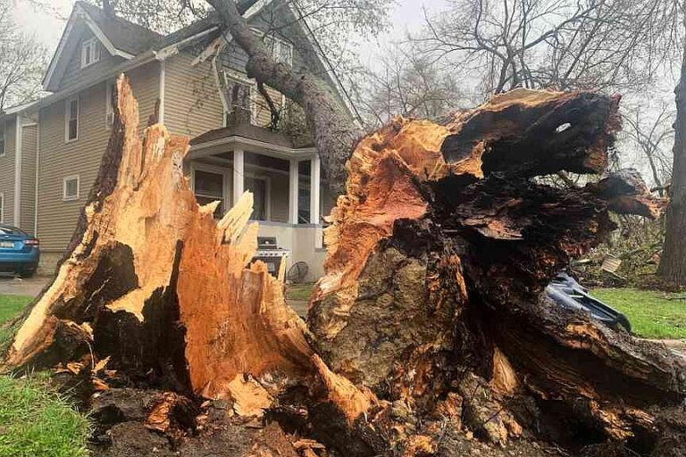 Powerful overnight storms hit Michigan