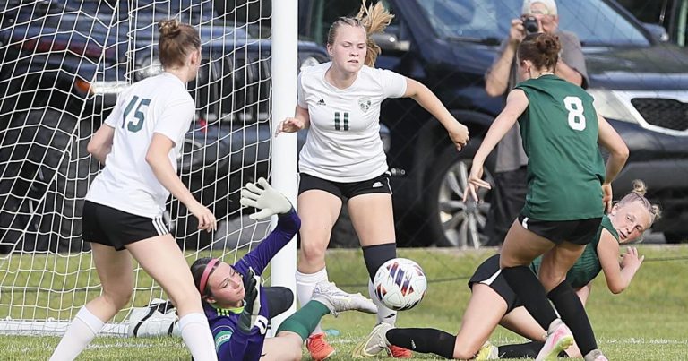 Feehan wins state; Alleman soccer team falls