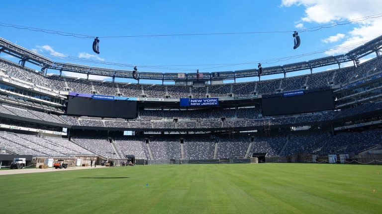 The World Cup Has Exposed the NFL’s Turf Problem. Now It’s Time for Owners to Do Right By Their Players.